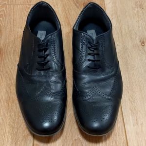 Steve Madden wingtip shoes, size 12